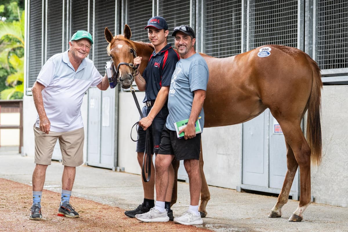 Magic Millions Purchases 2026