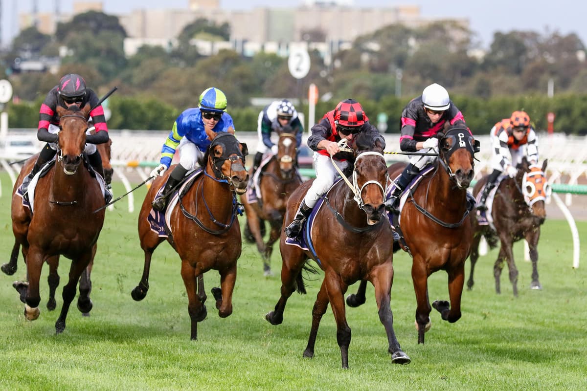 Exciting Times ahead as Stable Strength Builds